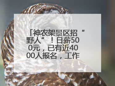 神农架景区招“野人”！日薪500元，已有近4000人报名，工作职责包括“接受游客投喂”
